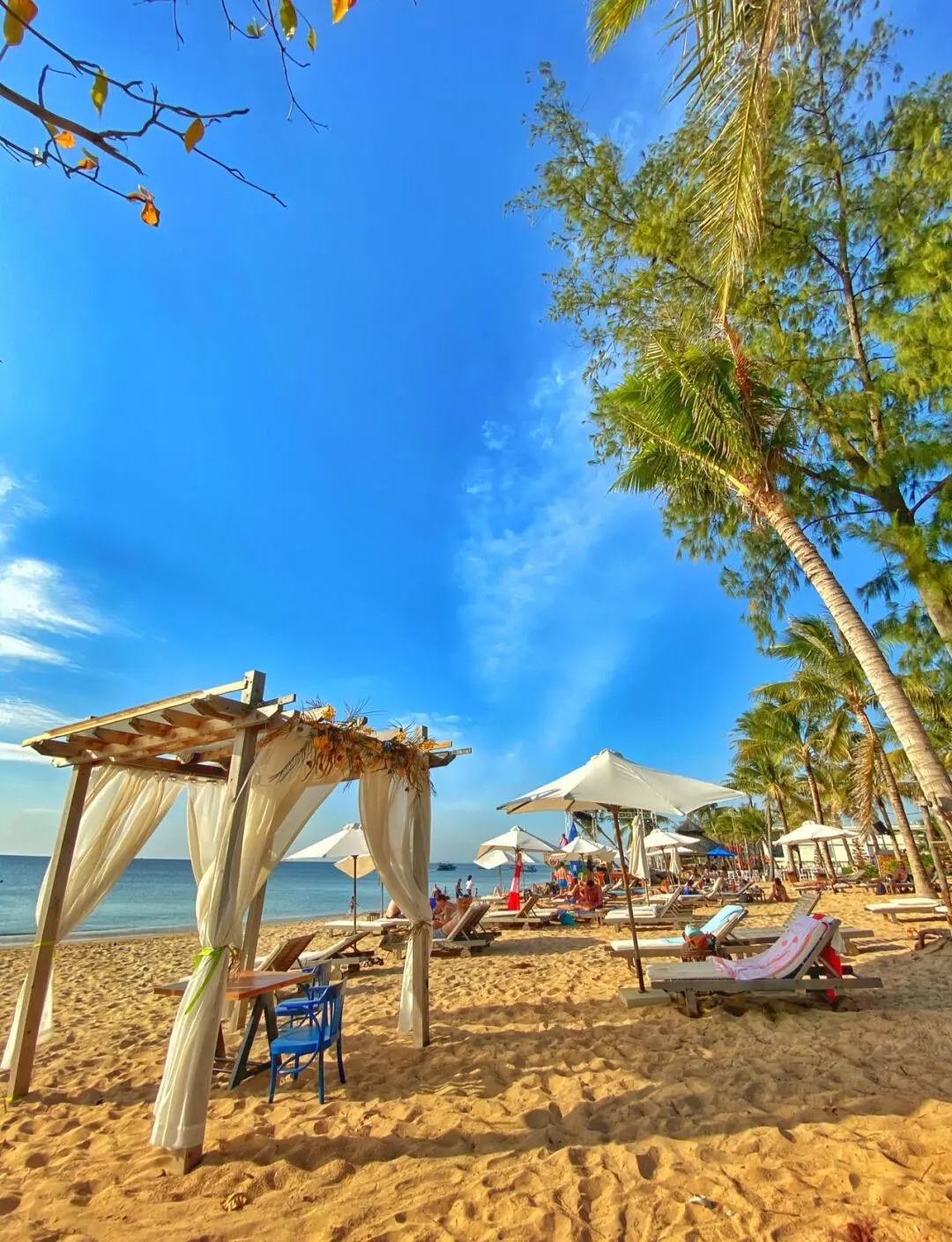 96ffb79b8fbc08c5928652573d78d9f0-sz_268862 96ffb79b8fbc08c5928652573d78d9f0-sz_268862