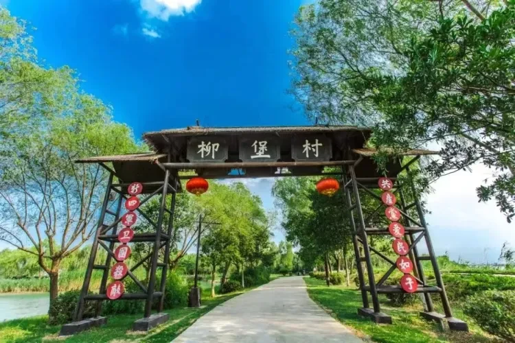 97231ea5176533253766bbf84aee8bc5-sz_369595