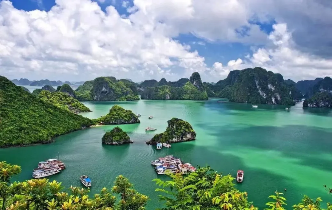 972c2b0d3b99e176305ccbd5118e7388-sz_656783-1