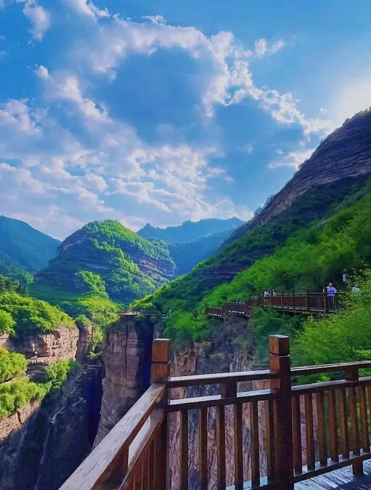 978ecf99d03dafedf8ed4047e2e14dc8-sz_118750 978ecf99d03dafedf8ed4047e2e14dc8-sz_118750