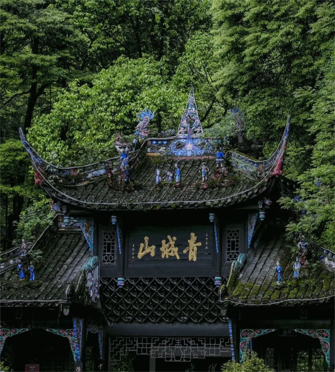 9794adb2948f2fee2e218c94c003a712-sz_549052