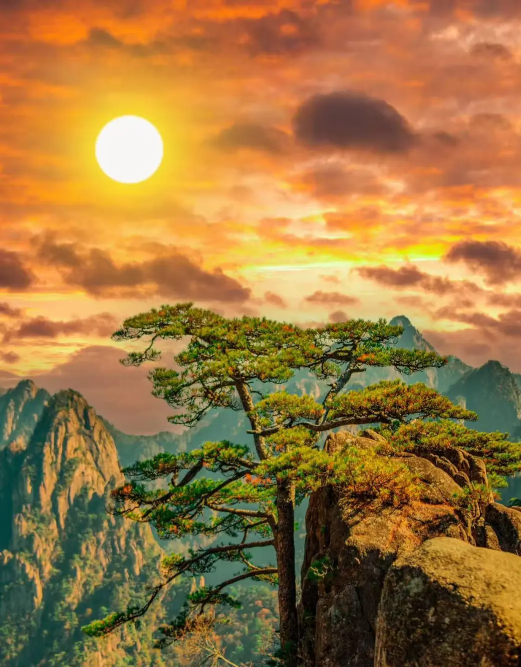 98049e6c12dfcaefe1cb2228e18cd63e-sz_305317