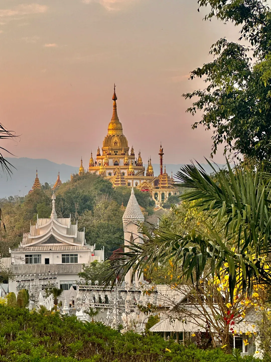 984dc674b7fb74e1baa2759f7e979236-sz_3220666-3 984dc674b7fb74e1baa2759f7e979236-sz_3220666-3