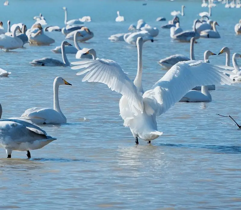 98598f9c83cd0b07a5c6256fea3f4f73-sz_132180-1 98598f9c83cd0b07a5c6256fea3f4f73-sz_132180-1