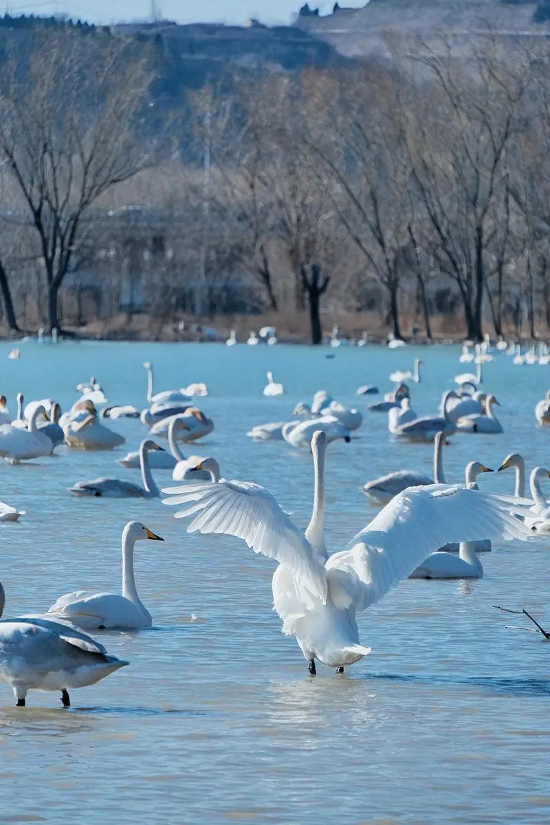 98598f9c83cd0b07a5c6256fea3f4f73-sz_132180 98598f9c83cd0b07a5c6256fea3f4f73-sz_132180