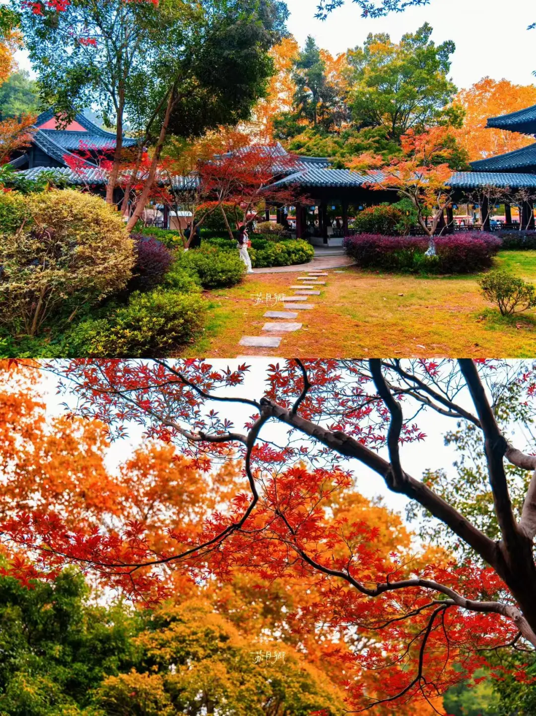 9880a368c7c5eaedbdc9d9bb645fdcda-sz_643955 9880a368c7c5eaedbdc9d9bb645fdcda-sz_643955