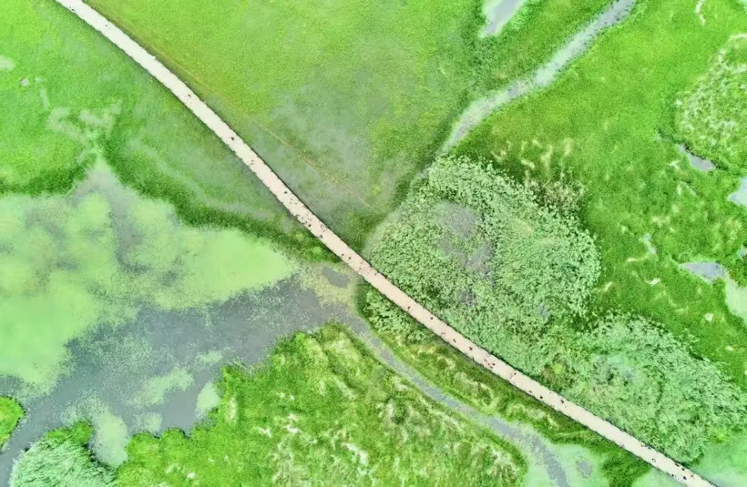 98840e93dbfa259d925377779f8fc8e3-sz_244980