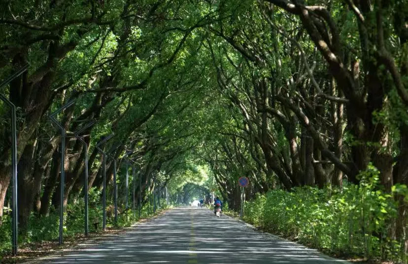 98b5618bc39428e3039e3682c138a254-sz_1211568 98b5618bc39428e3039e3682c138a254-sz_1211568