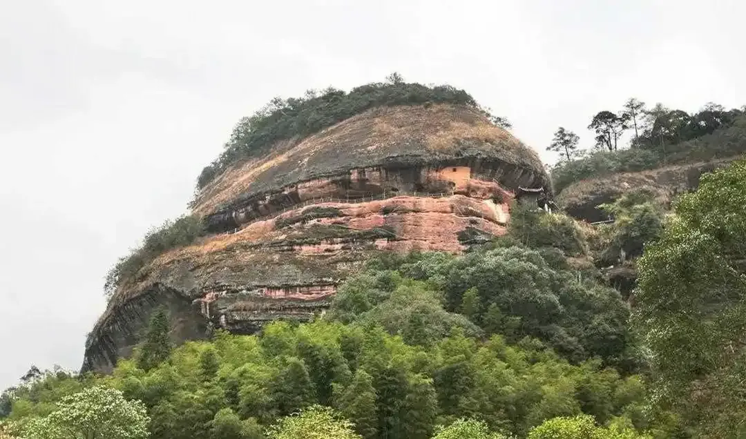 98b7212698dc4d8a8c8f0f2f8c4be3e8-sz_967539