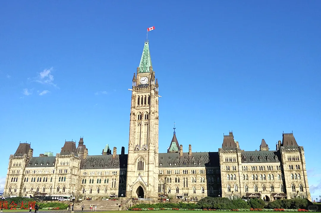 98df998e7cf8fa41e4de7b3385300706-sz_1561963