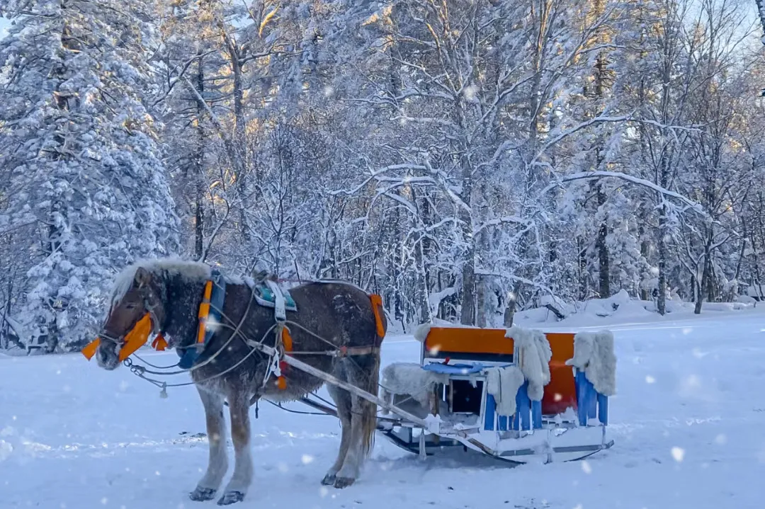 98fa81747107dd22a168ff08f49b1ec9-sz_1051120 98fa81747107dd22a168ff08f49b1ec9-sz_1051120