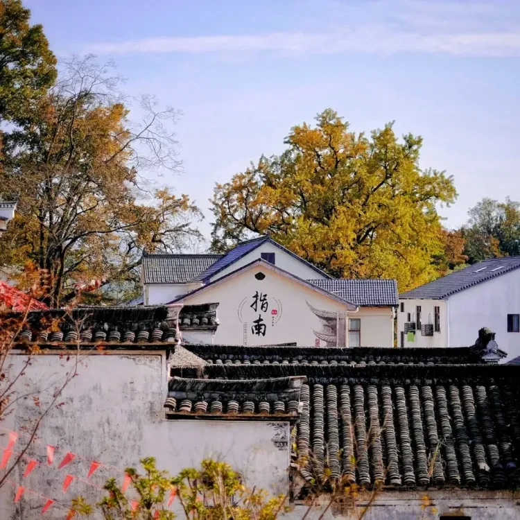 991288b2be5032ec634ee0f33c125dda-sz_2412351