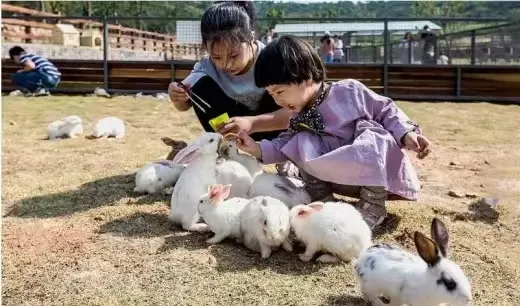 991b3f623f696cb0dae5be5e53d6fb2b-sz_89574 991b3f623f696cb0dae5be5e53d6fb2b-sz_89574