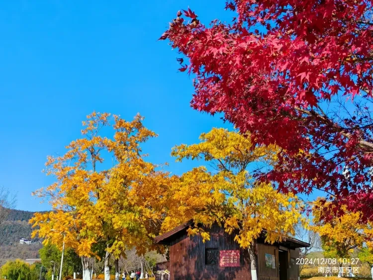 992c9aa8193a29659180034e4837e010-sz_3327617