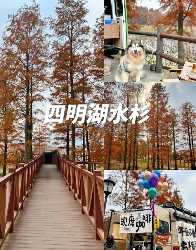 9951834d9de7300cfd9bb9f4d3102e17-sz_1264546 9951834d9de7300cfd9bb9f4d3102e17-sz_1264546