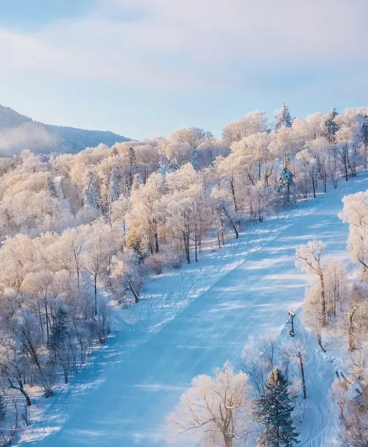 995a1a344594b9f1d8ced8644c537b90-sz_468240