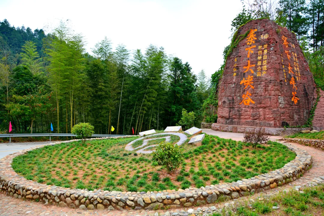 9980ac24e2b254540a0c3a46d2e4fdc9-sz_2022515