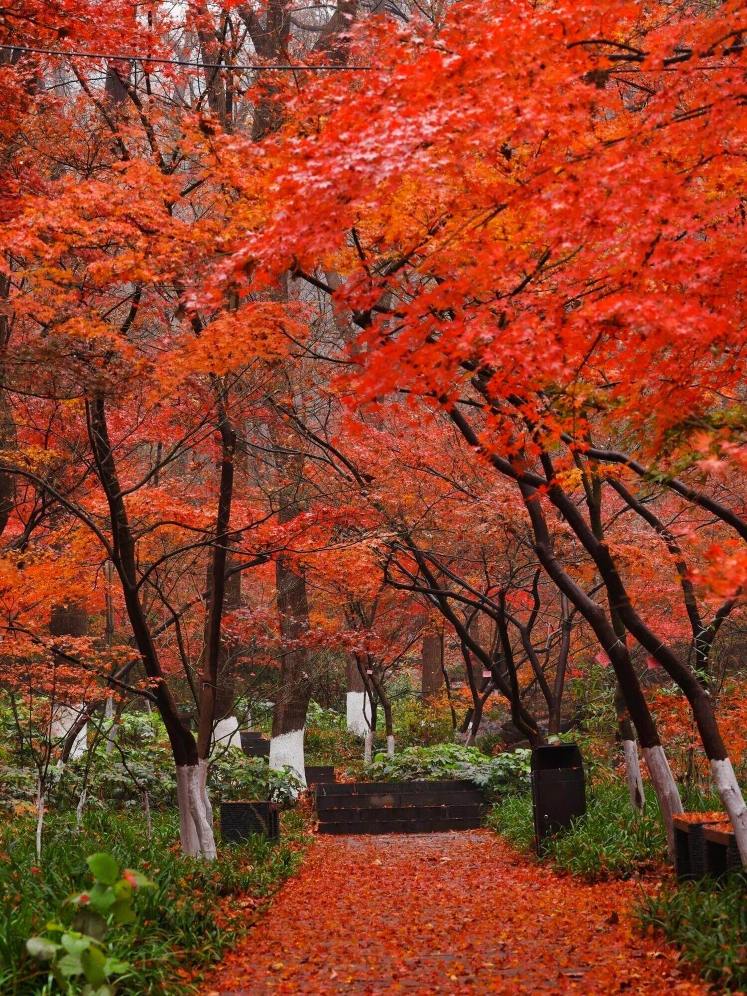 998dc8d2c1ef3d9da45b6c03eabca90b-sz_646029