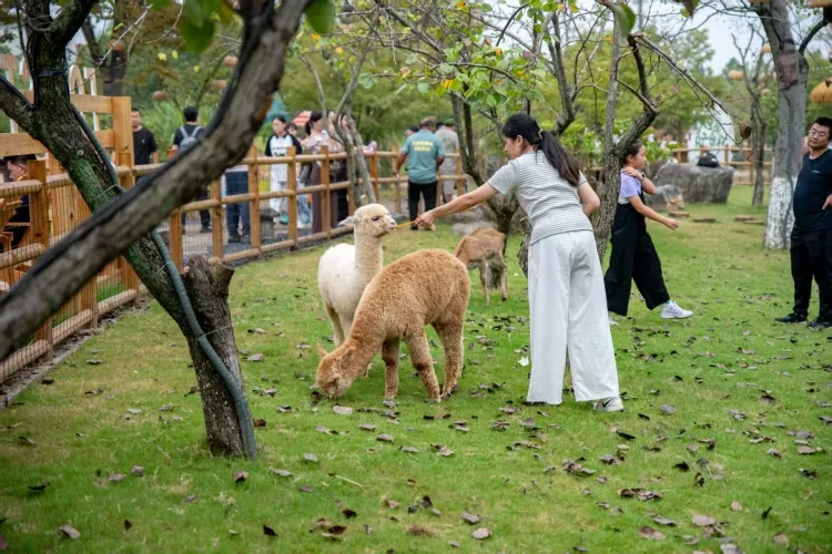 999b0a2d171c722c3aaace4bf4f4bc96-sz_592564