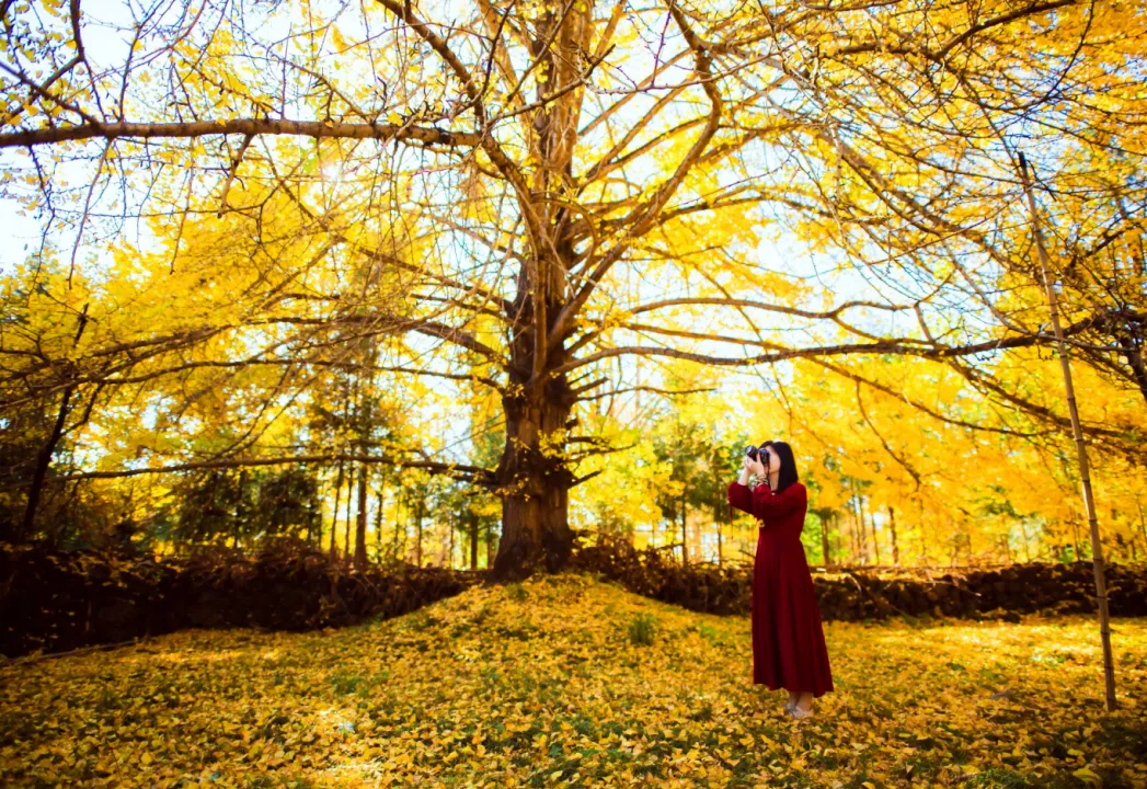 99a0f0abe2ffc3d27373c70e43266c58-sz_4176389-2