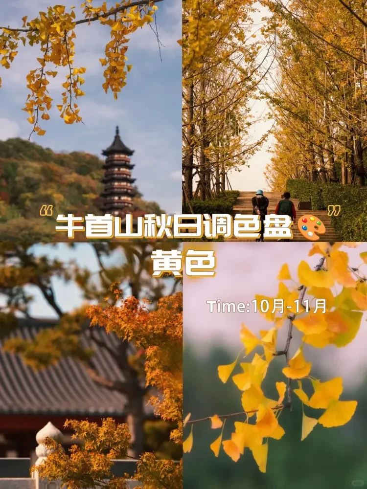 元旦可发！南5-【栖霞丹枫&金顶辉映】南京两山秋景4日499！螃蟹宴+烤鱼宴+地锅鸡+欢迎宴4大特色餐！免费棋牌！牛首山+栖霞山赏秋漫山红叶！住宿汤山品质酒店！