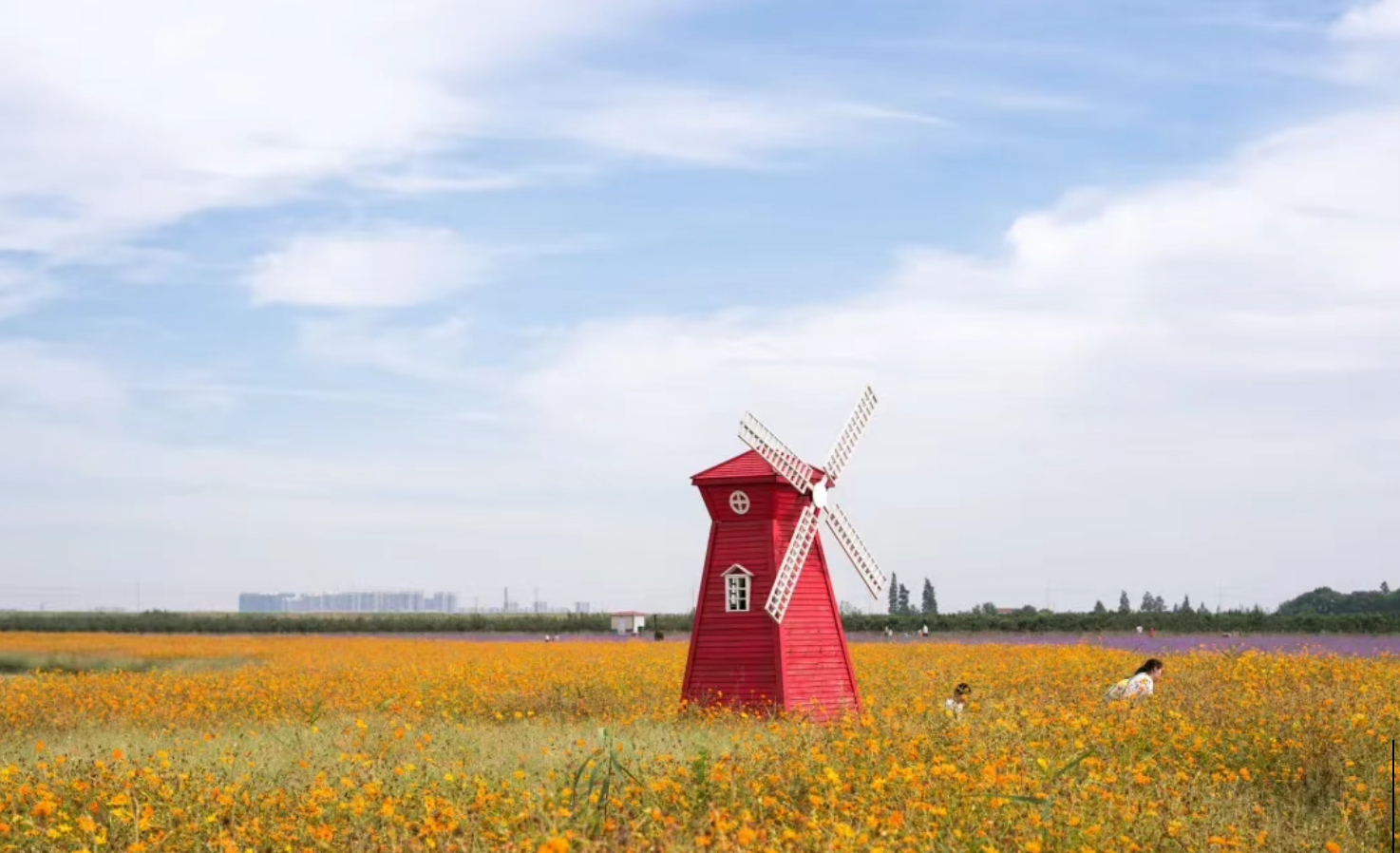 99a89465de7f83dc1c3c53fb9321c4eb 99a89465de7f83dc1c3c53fb9321c4eb