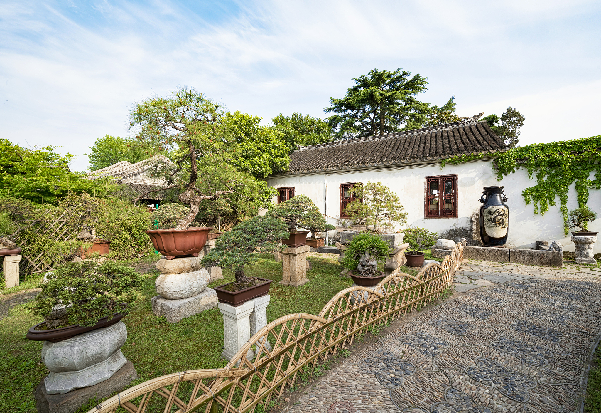 99b981a192d6e665c1b11ce0f563b2f4