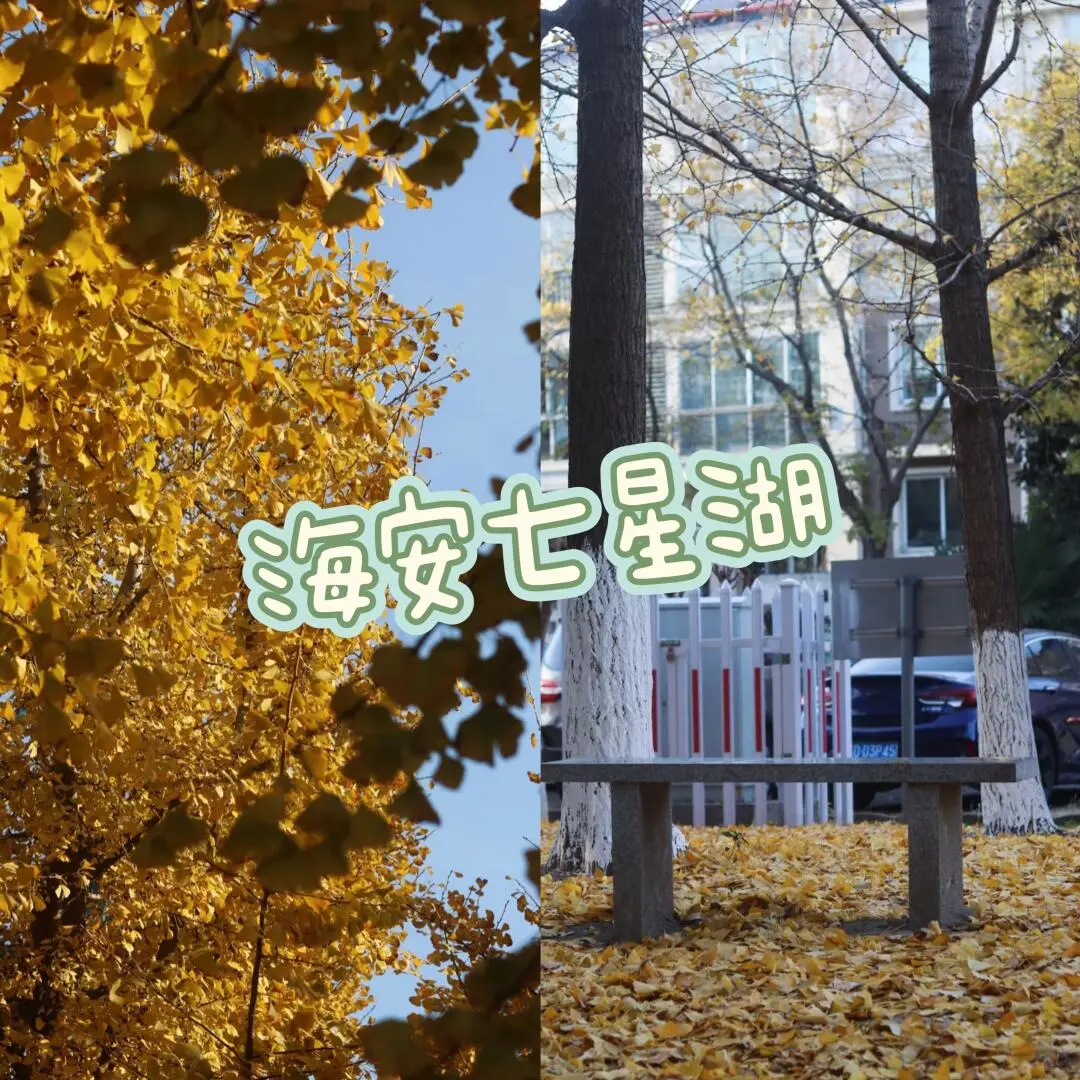 99e6900b0debcb3e5b5b507fdfc364f2-sz_249273 99e6900b0debcb3e5b5b507fdfc364f2-sz_249273