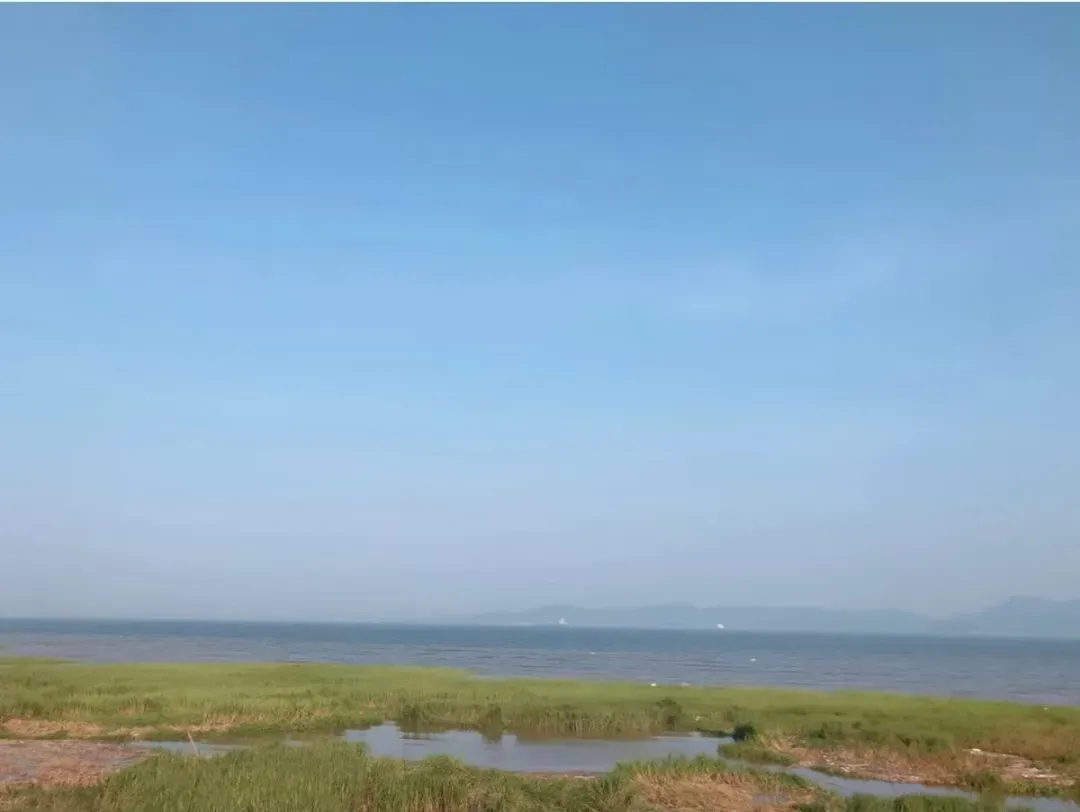 9a2a1c0f43fcf5be6461068aa46d2a29-sz_274465