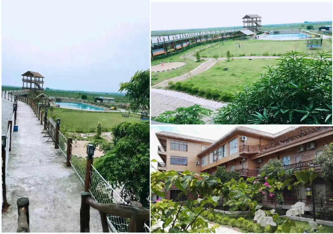 9a56bd59a35ab208508e89d4420787a4-sz_2336340-1