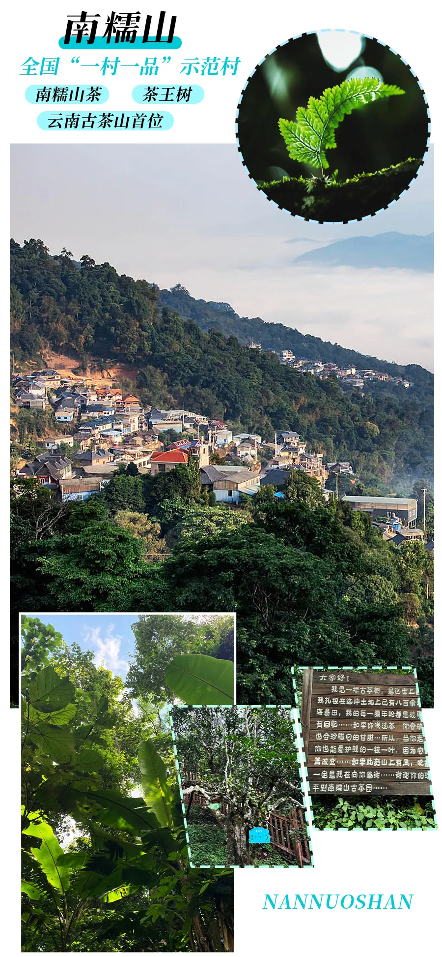 9a8514a2c6fef89e428b939321ba66e8-sz_4866916 9a8514a2c6fef89e428b939321ba66e8-sz_4866916