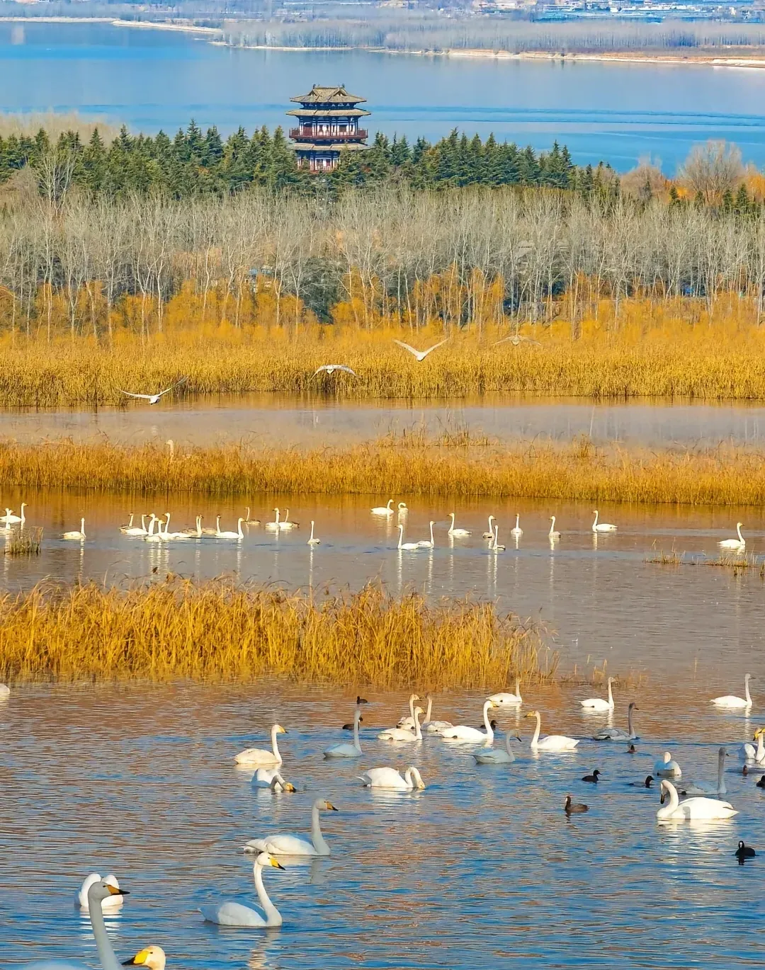 9b333818fc168d693102ec5d7a2adf3d-sz_2737593 9b333818fc168d693102ec5d7a2adf3d-sz_2737593