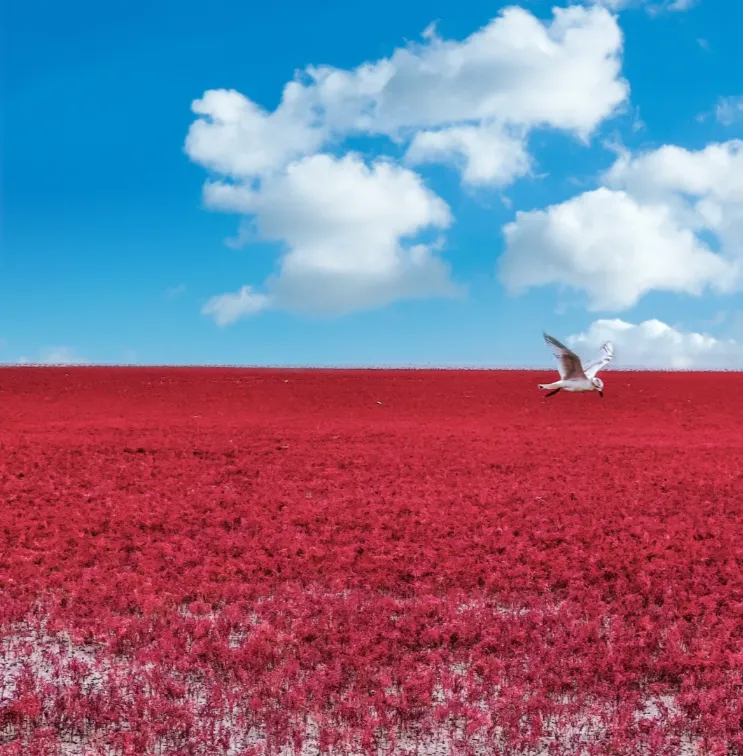 9b38c480fe8c46c96dafd0742422ae49-sz_1182646 9b38c480fe8c46c96dafd0742422ae49-sz_1182646