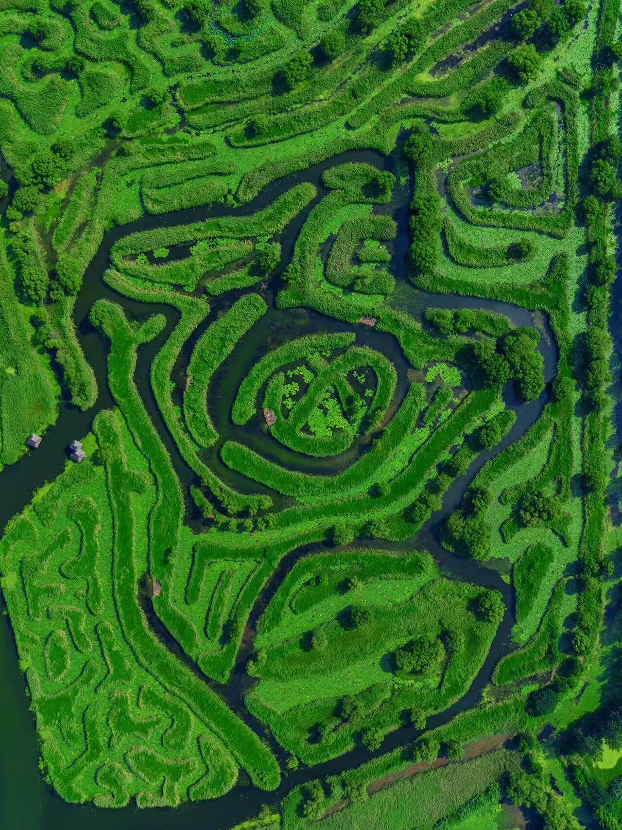 9b63ee33529931aedcbdc9d4d2e9bb0c-sz_514710-2 9b63ee33529931aedcbdc9d4d2e9bb0c-sz_514710-2