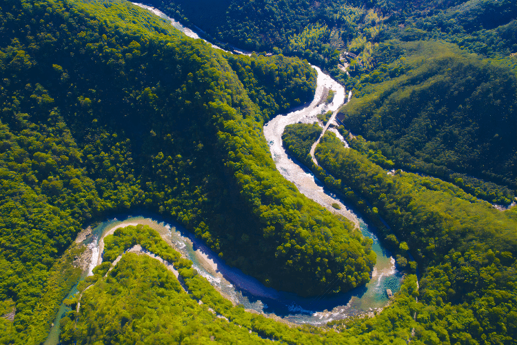 9b6e816b89fb6b07348de1c858560a2d-sz_973087