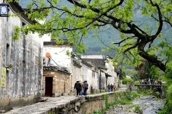 9b7949ac4f04e3d9c581afb79cd5a7ee-sz_77096 9b7949ac4f04e3d9c581afb79cd5a7ee-sz_77096