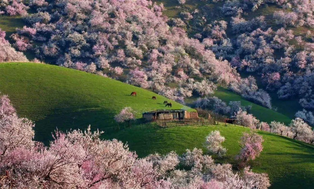 9b821f115c00b2720d8087a1a6e899db-sz_2800881