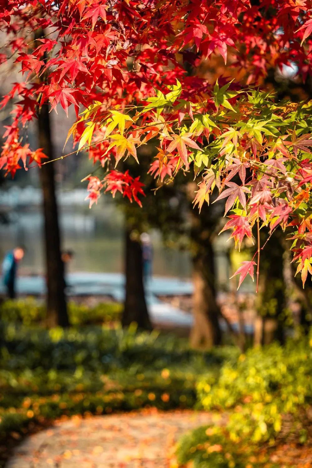 9b90dfc24e9f83908f909e7646546808-sz_281421-1 9b90dfc24e9f83908f909e7646546808-sz_281421-1