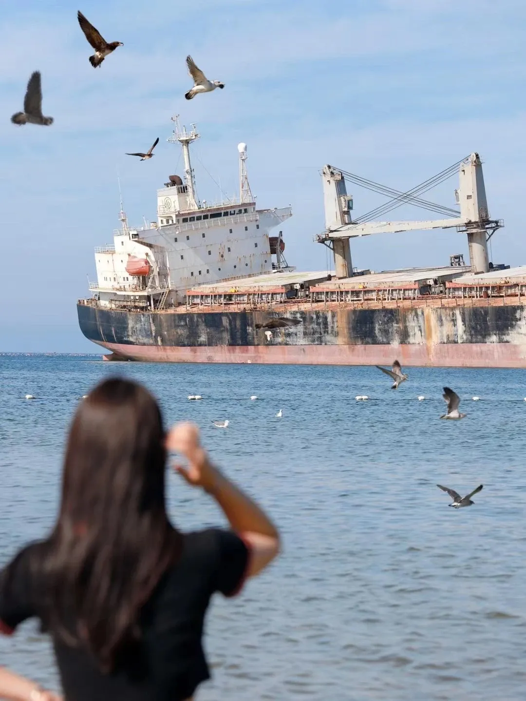 9be6c1f4c356a41d6e7531d15fe1daf8-sz_2413571