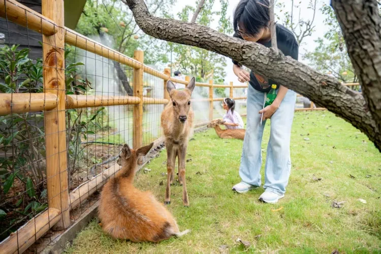 9c2e34d097d7df15b19ee746c61588d6-sz_612637