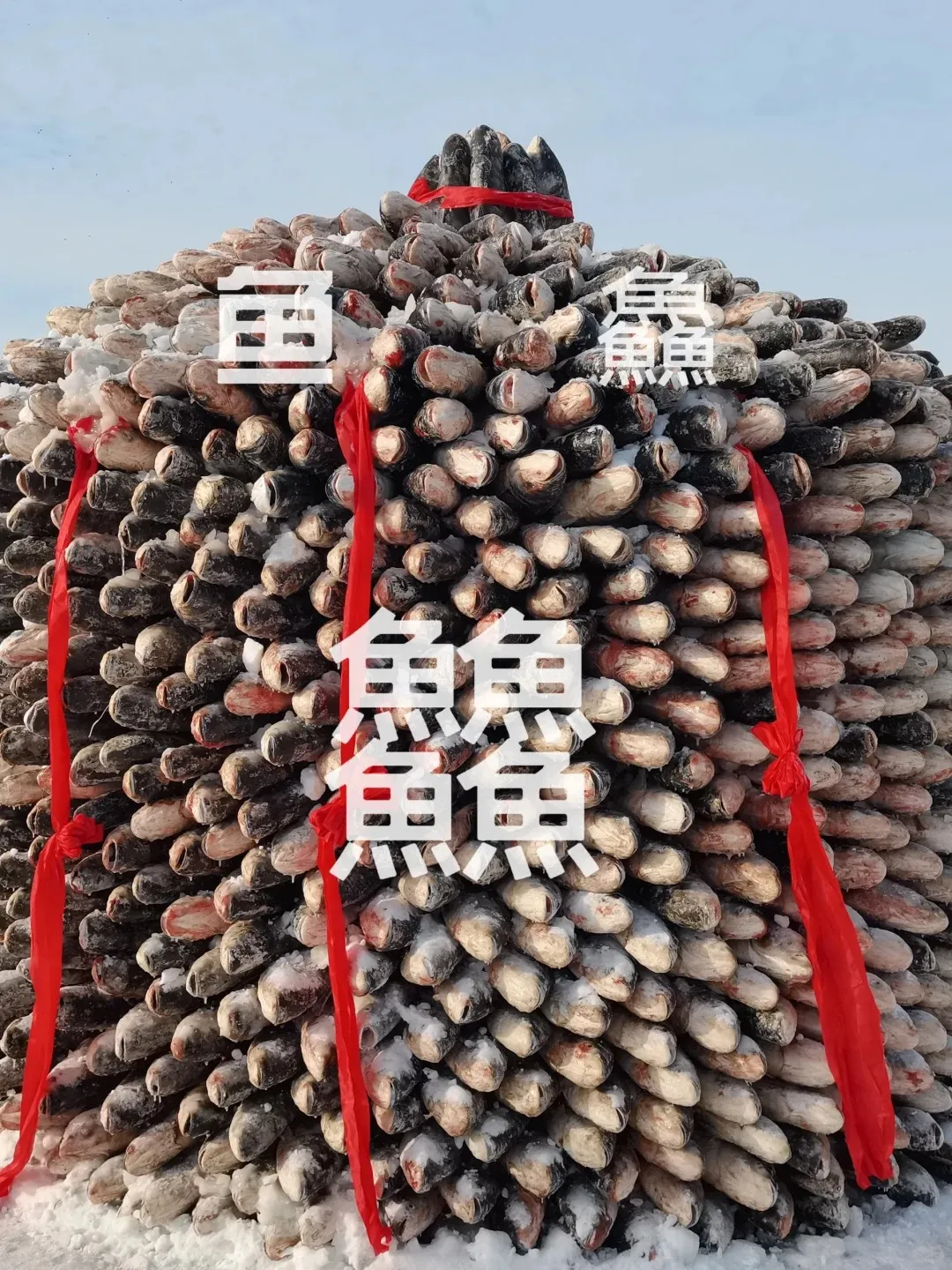 9c514ace06c9e9d6a8ed216a18de0a10-sz_523469