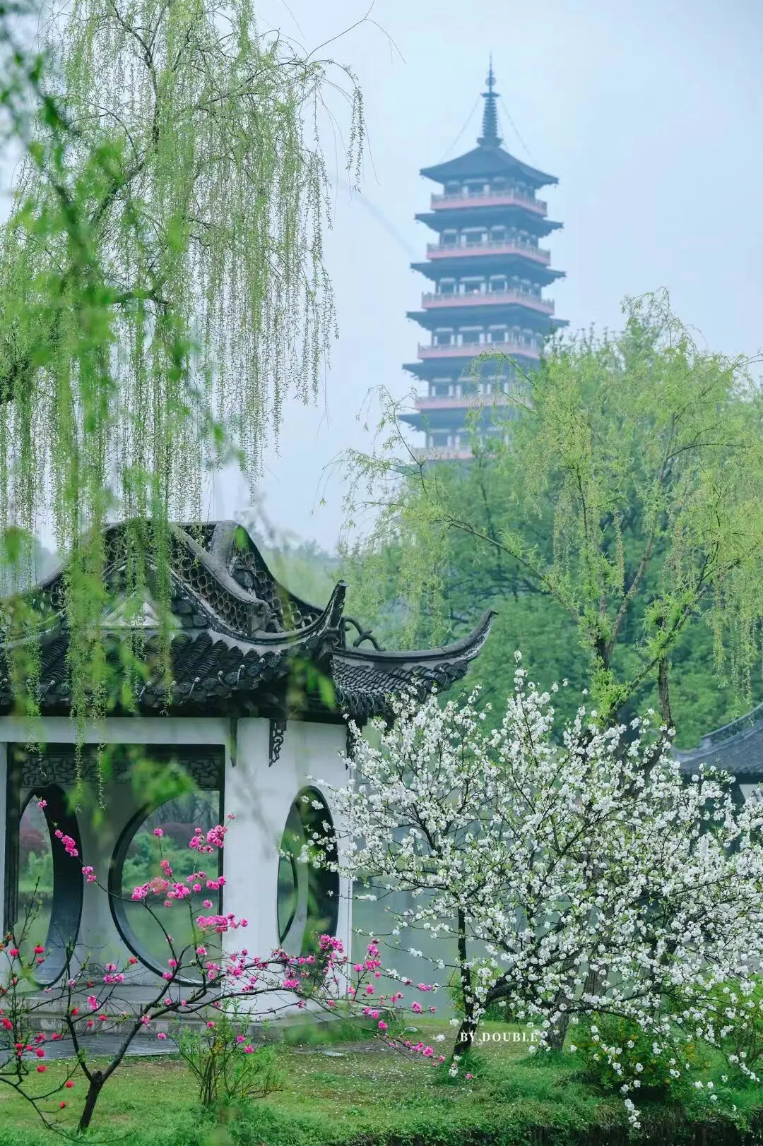 9c78a240f00bd44a0444006fdd529bd1-sz_414483