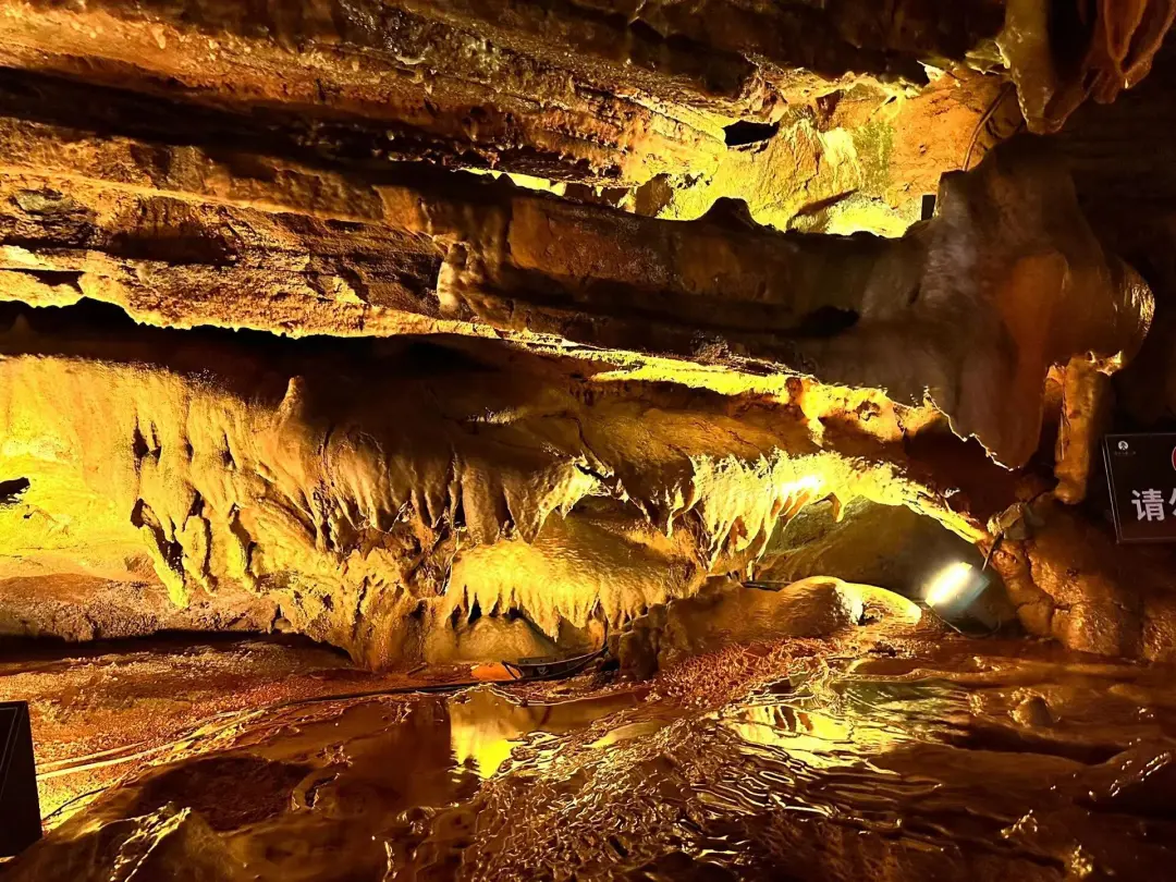 9c8b85c772e2d1331e7dd18a336a6d06-sz_554309 9c8b85c772e2d1331e7dd18a336a6d06-sz_554309