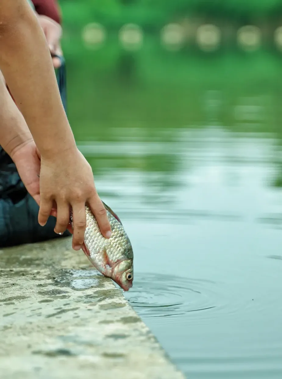 9c9aa736f2a9a3f94a33222470b5e82b-sz_898420