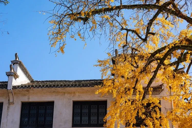 9cb573a359794b40ba2e107945bfbc74-sz_141685 9cb573a359794b40ba2e107945bfbc74-sz_141685