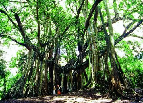 9d01073a5aad31021b6dfae7bdb4db01-sz_64422