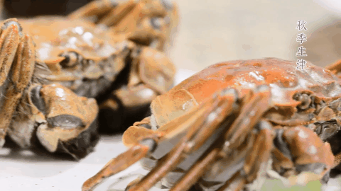 9d14af92b85d20f38e5a4205d98daa35-sz_1603454-1