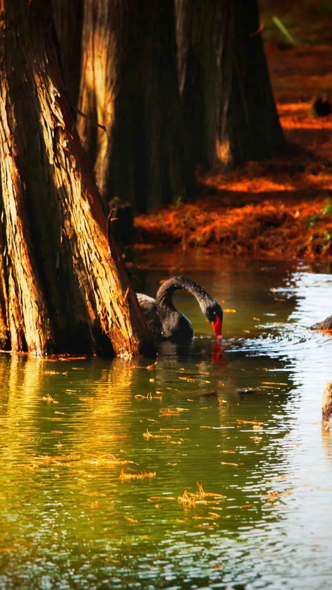 9d782c8f4644289f999b43108b0c16d6-sz_368277-1 9d782c8f4644289f999b43108b0c16d6-sz_368277-1