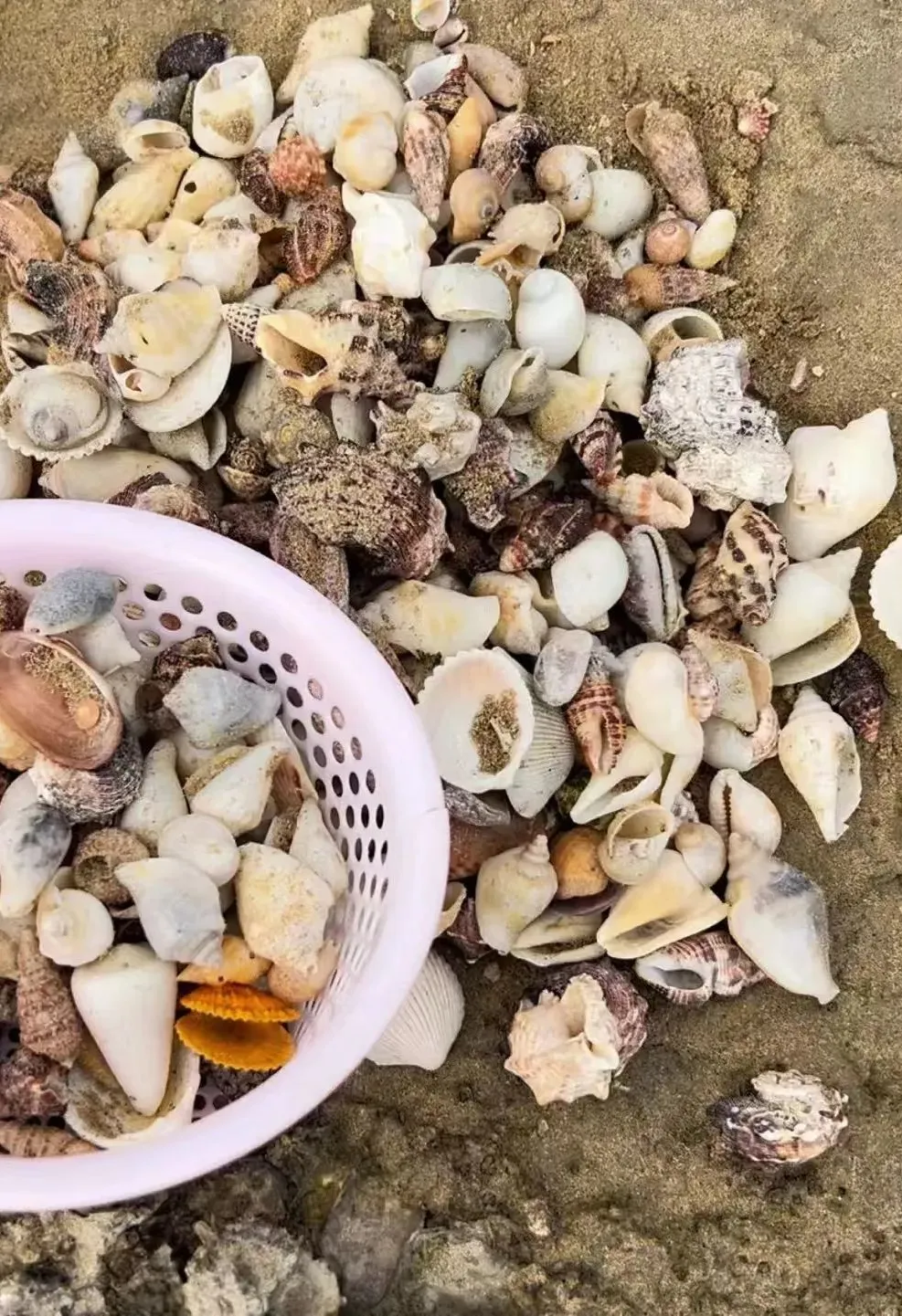 9d7cb4363525a9aa6c67ea222acbaa86-sz_332093