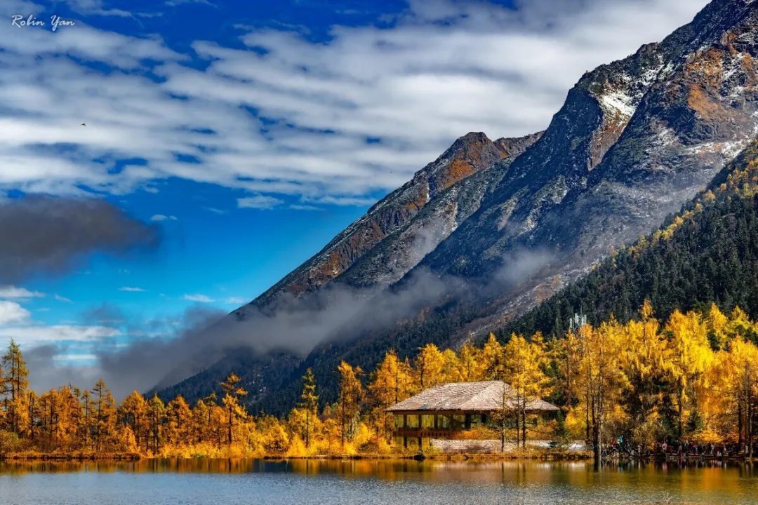 9dd10c5fc679d7a07ce4c63c68584351-sz_340013